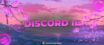 дискорд ид.jpg