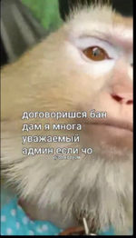 1719404669747.png 1719404669747.png