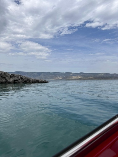 ᴘᴇɴɢᴜɪɴᴏɴᴏᴋ ᴋᴏɴʏᴀᴋʏᴀɴ